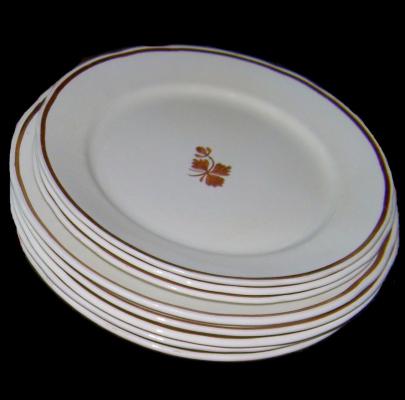 Anthony Shaw - Shield - TL - Plates