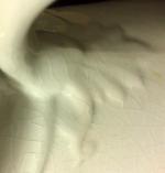 Fiddlehead - Mercer - EMB - Terminal.jpg