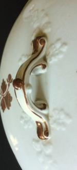 Maidenhair Fern - Wilkson - EMB - Lid