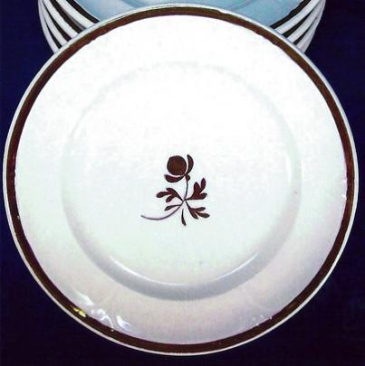 Anthony Shaw - Niagara Fan - TL - Cup Plate